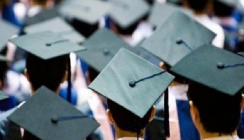 ����� ���� ������ ��� 784 ������ �� ������ ���� ���