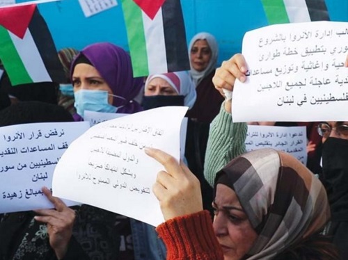 �����. ���� �������� ����� ����� ������ ��� �������