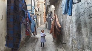 ������ �� ���� ������ ������ �� ������� �������: ����� ����� 