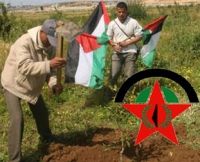 ����������� ���� ������ ������ ��������� �� ��� ����� ������ �� ����� ����� ����� ������