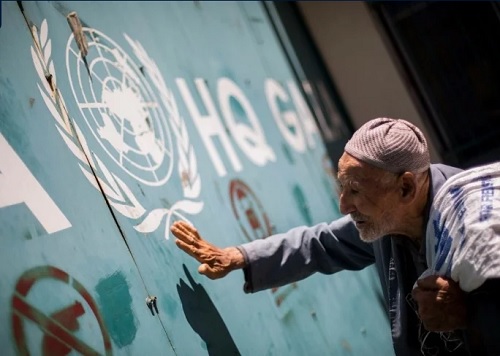 ��������: ����� ����� �������� 20% ��� ��� �����