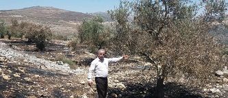 ���� ������ ��� ����� ������� ����� ��