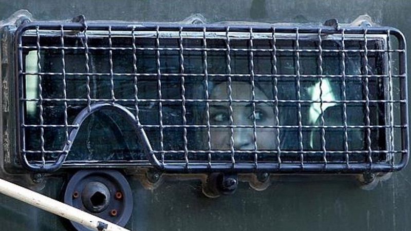 ���� ����� ����� ����� �� ���� ����� ���� ������� ��� 22 �����