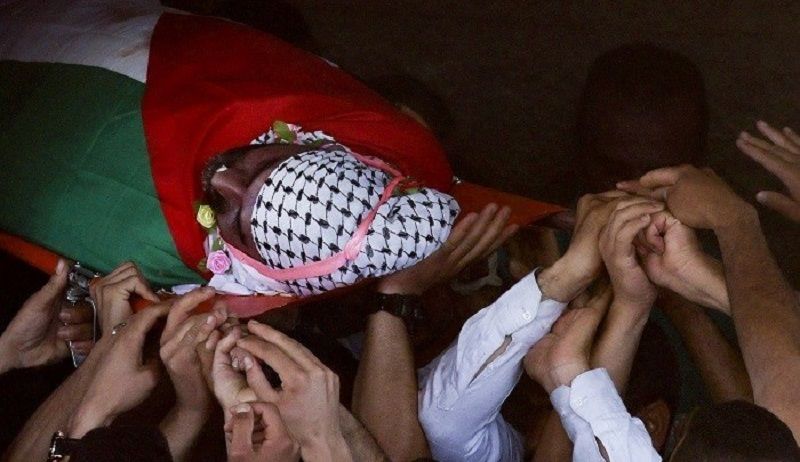 ������ ������� ����� ������ ���� ����� ����� ����