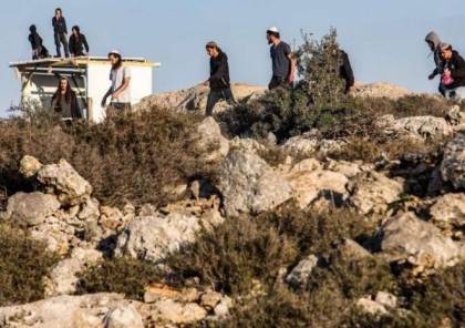 إصابة مستوطن خلال اعتداء على فلسطينيين أثناء قطف الزيتون قرب 