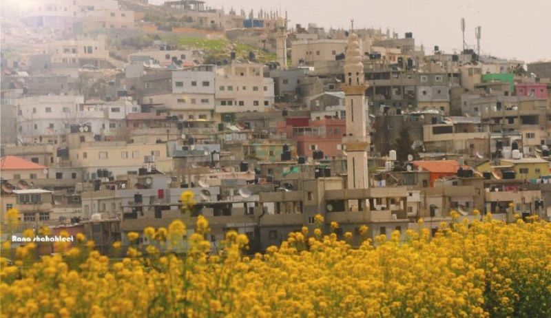 ����� �������� ���� ����� ���� ������