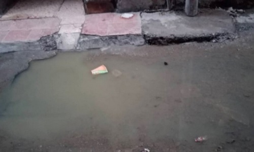 ���� ������ ���� ���� �� ���� ����� �����.. ���� ����� ������ �����