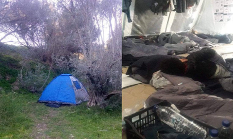 ������ �� ��� �� �������: ���� ����� �� ����.. ����� 