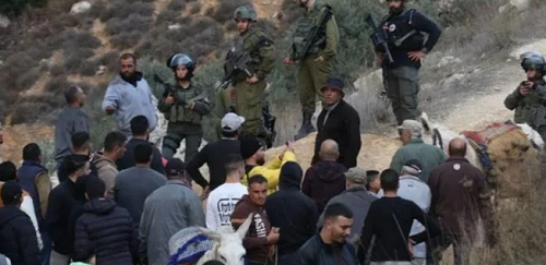 اليوم الثلاثاء: 13 اعتداء على المزارعين وأراضيهم وممتلكاتهم في 4 محافظات