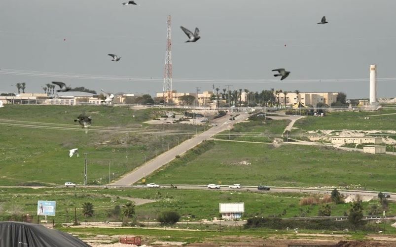 ������� �� �����.. ����� ��������� ������ �����������