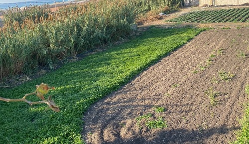 ������� �� ���� ��������: ������� ������ ������ ������ �� ����� �����