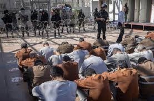 ������� ���� �����������: ��� ������� ������� ���� ������ �����������