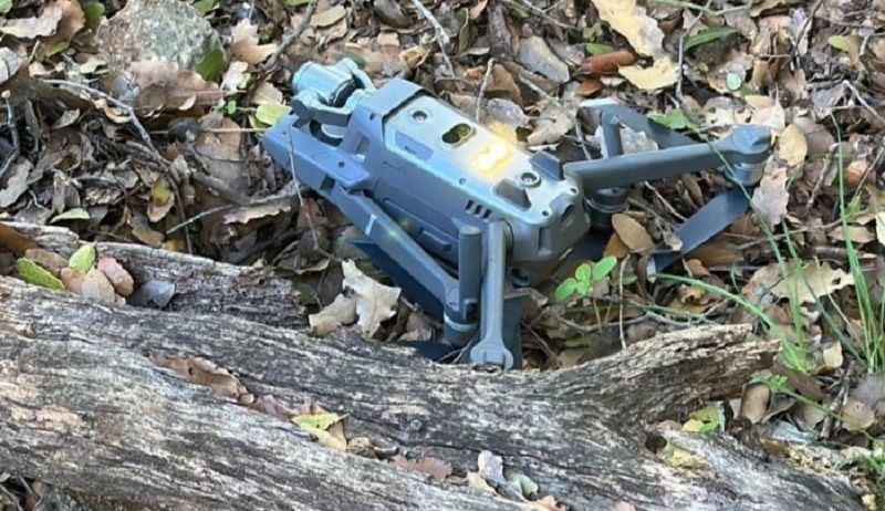 ����� ����� ������ ���� �������� �� ���� ����