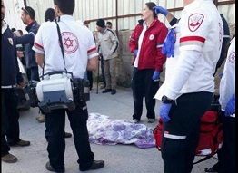 ������� ���� ������ ��� ����� �� ��� ������