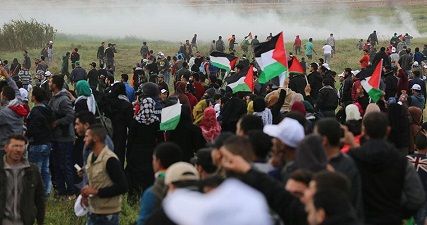 ������: 91 % �� �������� �� ��� ������� ������ ������