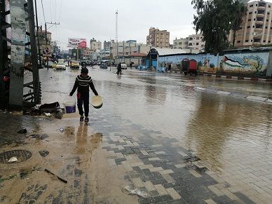 ����� ����� ������ ���� ����� �������.. ������� 