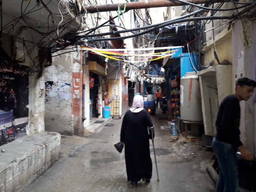 ������ ���� ����� 