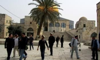 ������ ���� ������ ������ ������� ���� �����