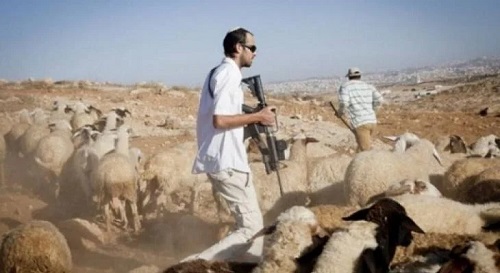 ” بالفيديو ” 3 إصابات في هجوم للمستوطنين على منزل في تلفيت جنوب نابلس