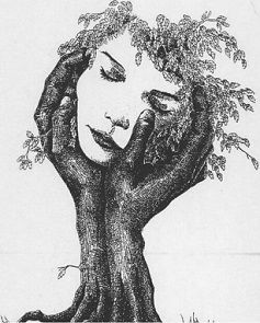 ������� ���: ������ ����� ������ ������