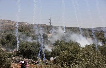 ���� ��� ���� �� �����