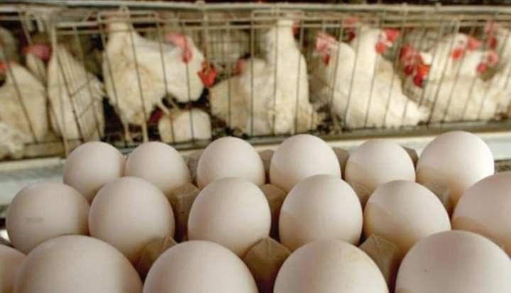 ��� ������ ����� ����� �������.. ����� ����������� �� ���� ����� ��� ������