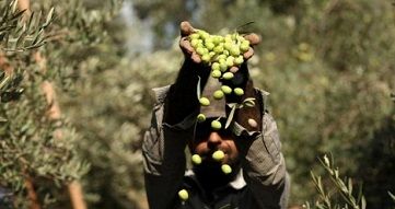 ������� ���� ����� ������� ��������� ��� ���� ��� �������