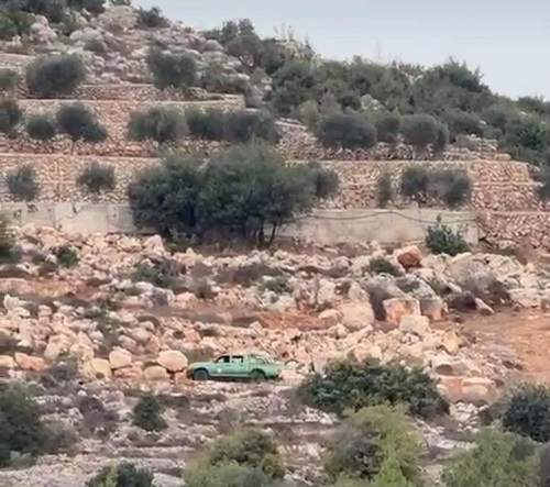 مستوطنون يهاجمون مزارعين في عين يبرود ويسرقون مركبة ومحصول زيتون