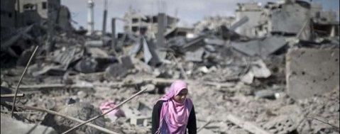 ������ �������� ���� ������ ����� 2014 : ���� ����� ����� ���� ��� ��� �����