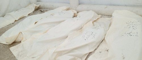 22 ����� �� ��� ���� �������� ��� ���� �������