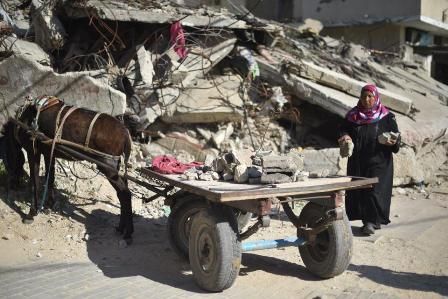 ��� ���� �� ��� ���� �� ����� ������� ���������