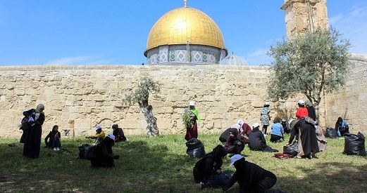 ������ �� �����.. ����� ������ �� ��� ��������