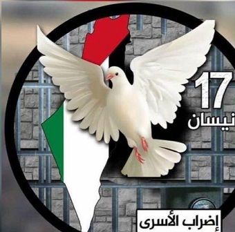 ����� ������ ���� ���� ������ ��� ��� ����� ��������� �������