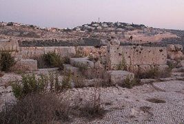 ����� ������� 