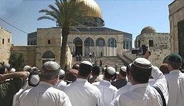 �������� ������� ����� ������ ������ ������