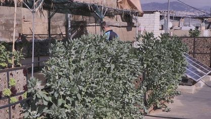 ������� ��� ���� ����� ������.. ����� ����� �� ���� ����� ������ ���� ������