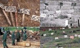 �� ����� ������ �������� ������ �������: 253 ����� �� ����� �������