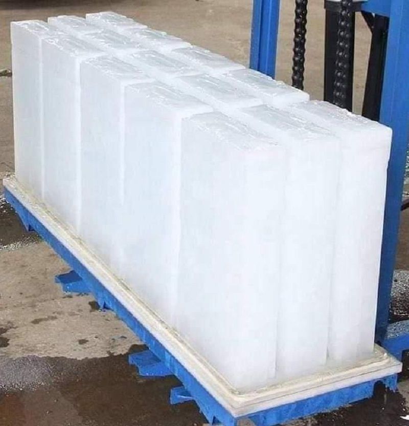 ���� ������.. ����� ����� ����� ���� ���� �������