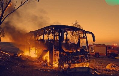 ���� ����� 40 ���� �� �������� 