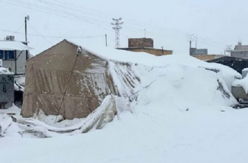 ���. �������� �� ��� ����� ������� ���� ���� �����