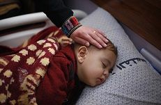 ���� 80% �� ���� ���� ������� ���� ����� ������