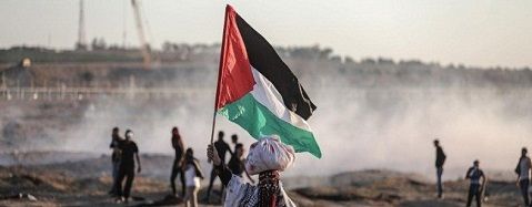 ���� �������� �������� 