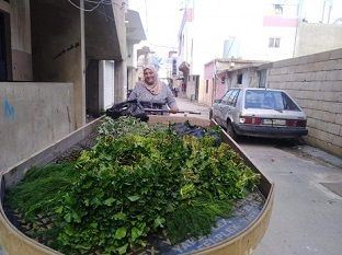 ���� �� ����� ��� ���� �� 