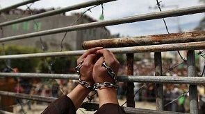 �������� ���� ��� ������ ���� ������ ������� ����� ������ ����� 250 ��� ����