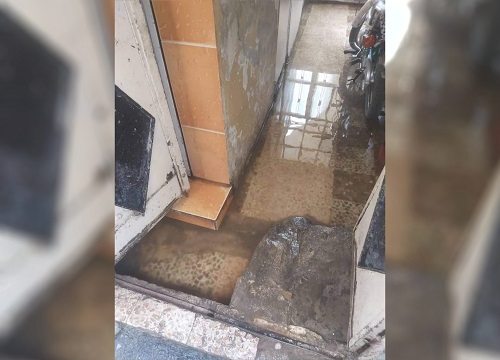 ���� ������. ������ ������ �� ������ ����� �����