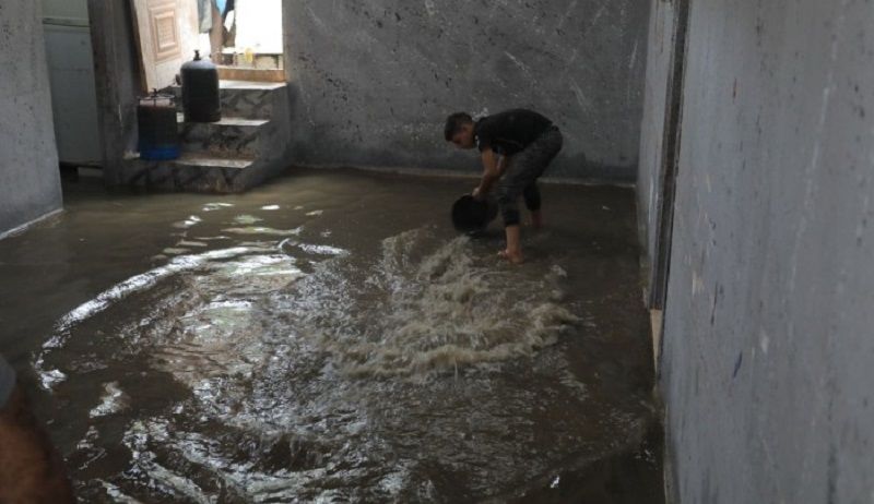 ��� ����� �� ����� ������ ������� ����� ������� �������