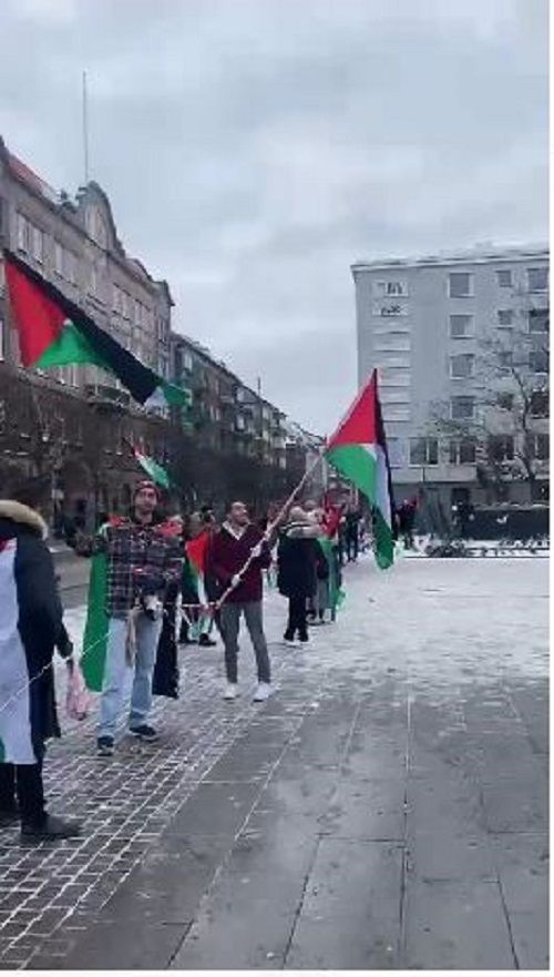 مسيرة للأعلام الفلسطينية في مدينة هلسنبوري/ السويد
