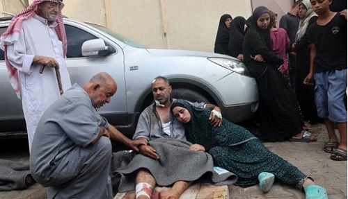 ��� ���: ���� 46% �� ������� �������� ���� ���� ���� ������