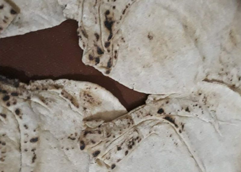 ����� ���� ������ ������ �� ��� ���� �����