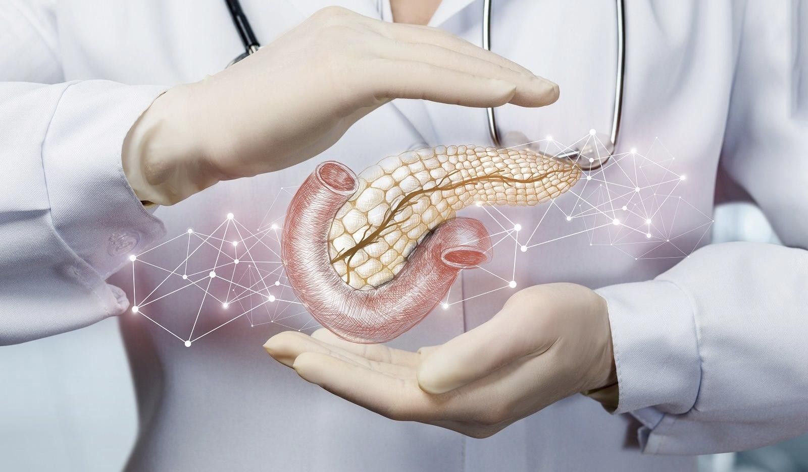 �������: ����� �������� ���� ��� ����� ������ ����� ����� ���������